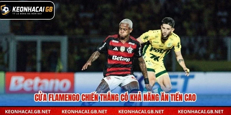 Cửa Flamengo chiến thắng có khả năng ăn tiền cao